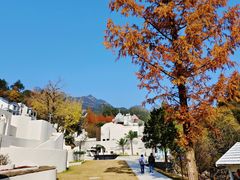 -黄山翡翠谷景区