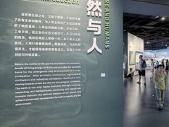 -四川大学博物馆