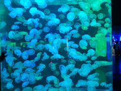 -多彩贵州城极地海洋世界