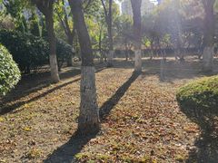 -朝阳糁馆