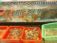 -抱德·潮汕味(敦和店原惠城鱼仔)