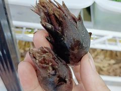 -畲乡一品鱼府土菜馆