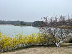 -宜兴龙背山森林公园