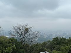 -广州市白云山风景名胜区