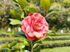 -神光山国家森林公园