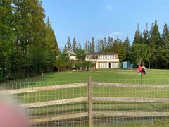 -前小桔亲子创意农场·草莓采摘·露营烧烤