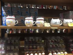 -猫咪博物馆(顶澳仔猫街店)