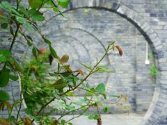 -渭南桃花源民俗文化园