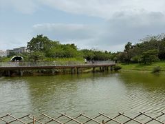 -福田红树林生态公园