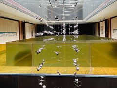 -北京雁栖湖国际会展中心