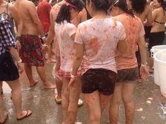 西红柿大战-麻雀瓦舍mako live house