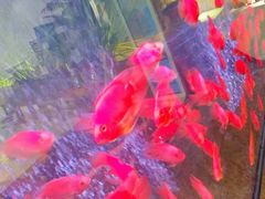 -味界·精致赣菜(招商花园城店)