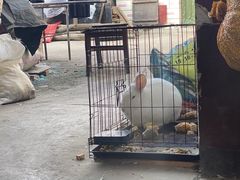 -柳沟豆腐宴64号院