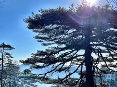 -黄山风景区