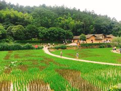 -韶山毛泽东同志故居