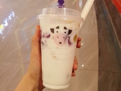 -一只酸奶牛(八一路店)