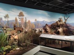 -陕西自然博物馆