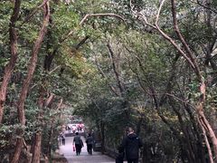-紫金山索道-售票处