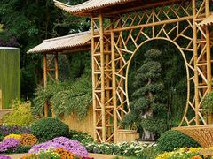 -上海共青森林公园