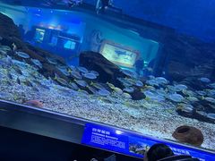 -海合安武汉极地海洋公园