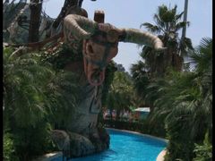 -重庆海昌加勒比海水世界