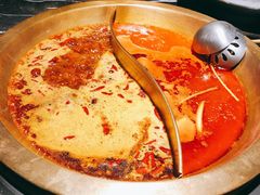 -杨家火锅(国美店)
