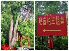 -中国观音故里广德景区