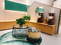 -飞行喵MR PILOT|猫舍·猫咖(静安大融城店)
