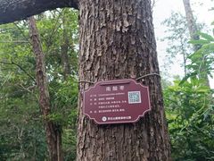 -福清灵石山国家森林公园
