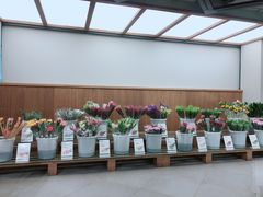 -鹿岛会员店 (龙湖三千集天街店)