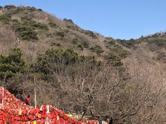 -香山公园