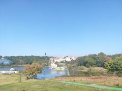 -大塘金香草谷