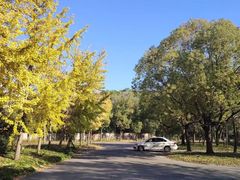 -胜华驾校·小猫学车(银都店)