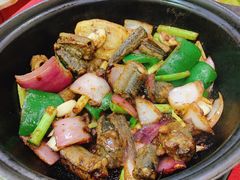 -裕华(南华东路店)