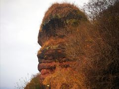 -马口生态公园