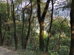 -广州市帽峰山景区