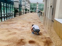 -上海佘山世茂艾美酒店