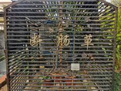 -广州神农草堂中医药博物馆