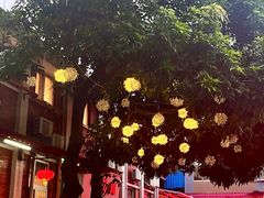 -四海之家(蛇口店)