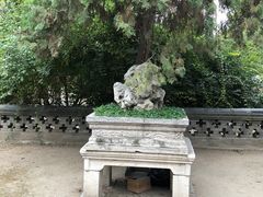 -孔府