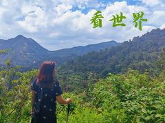 -木兰云雾山