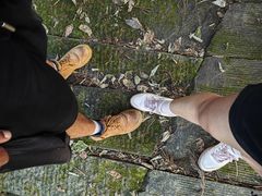 -武陵山森林公园