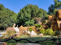 -常州淹城野生动物世界