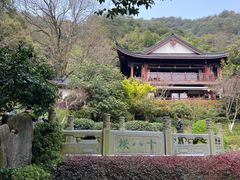 -十八棵（老龙井）御茶园(老龙井店)