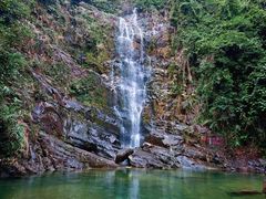 -鼎湖山风景区