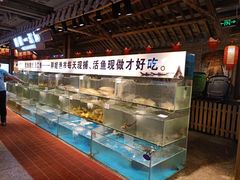 水产区-胖姐渔村(中源大道店)
