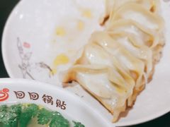 -回回锅贴(小河沿店)