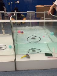 -海豚啵啵体智能游泳馆(惠山万达广场店)