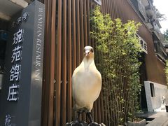 -琬苑鸽庄·川粤融合菜(解放碑总店)