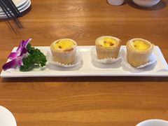 蛋挞-广味轩(奥园店)